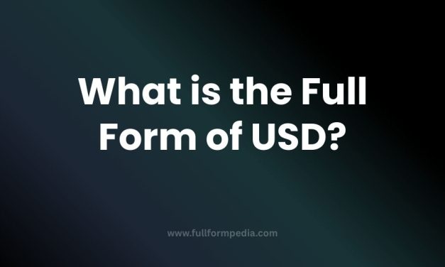 USD – United States Dollar